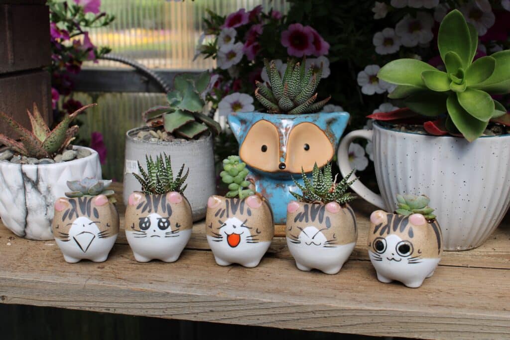 Cat Succulent Planters