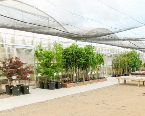 country-gardens_10