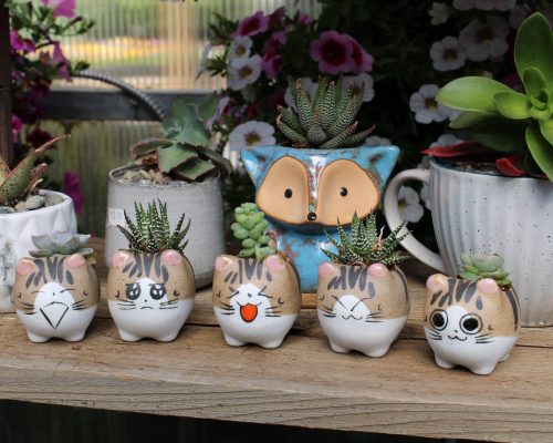 Cat Succulent Planters
